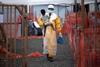 A Doctors Without Borders (MSF), health worker in protective clothing carries a child suspected of having Ebola