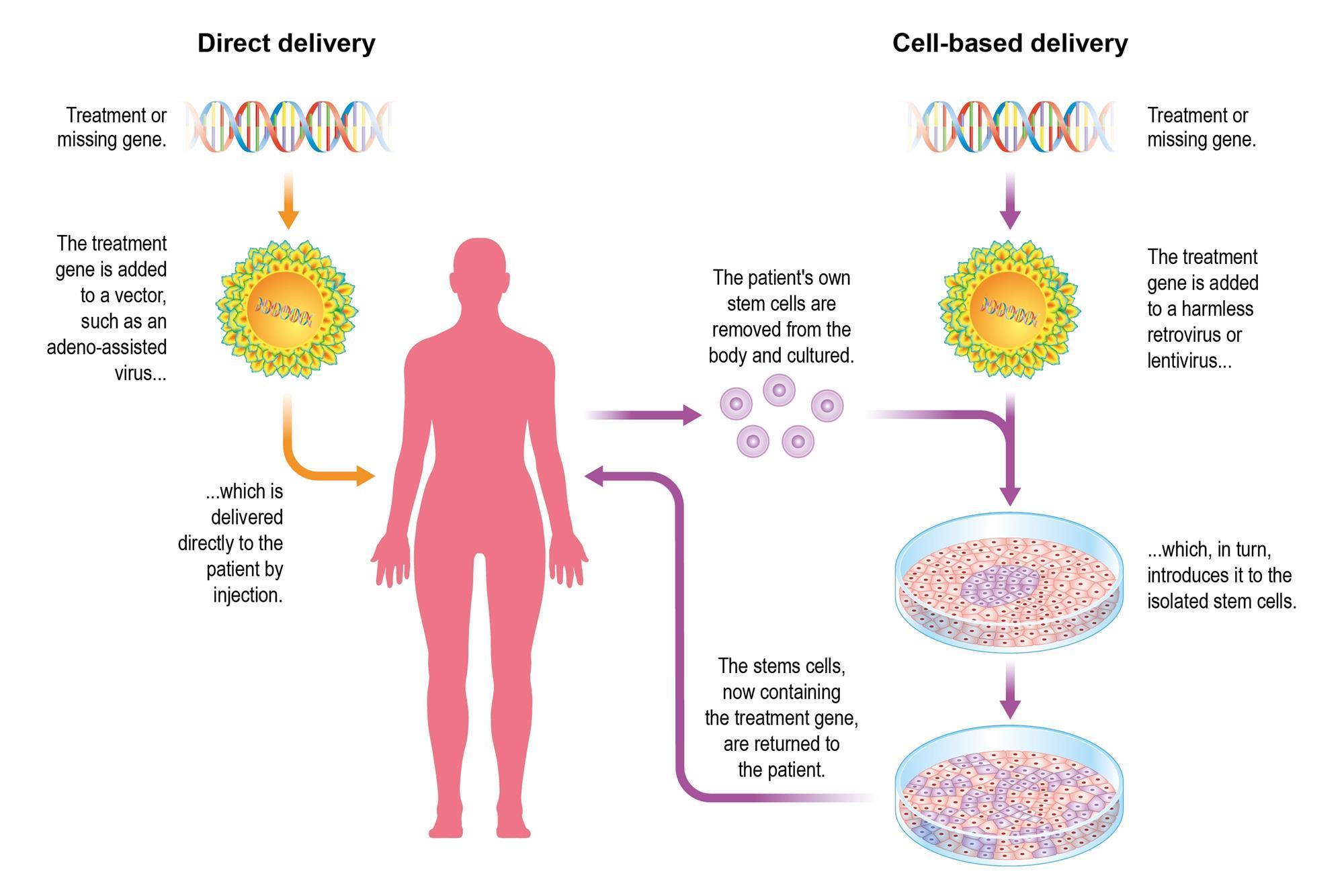 gene therapy experiments in humans