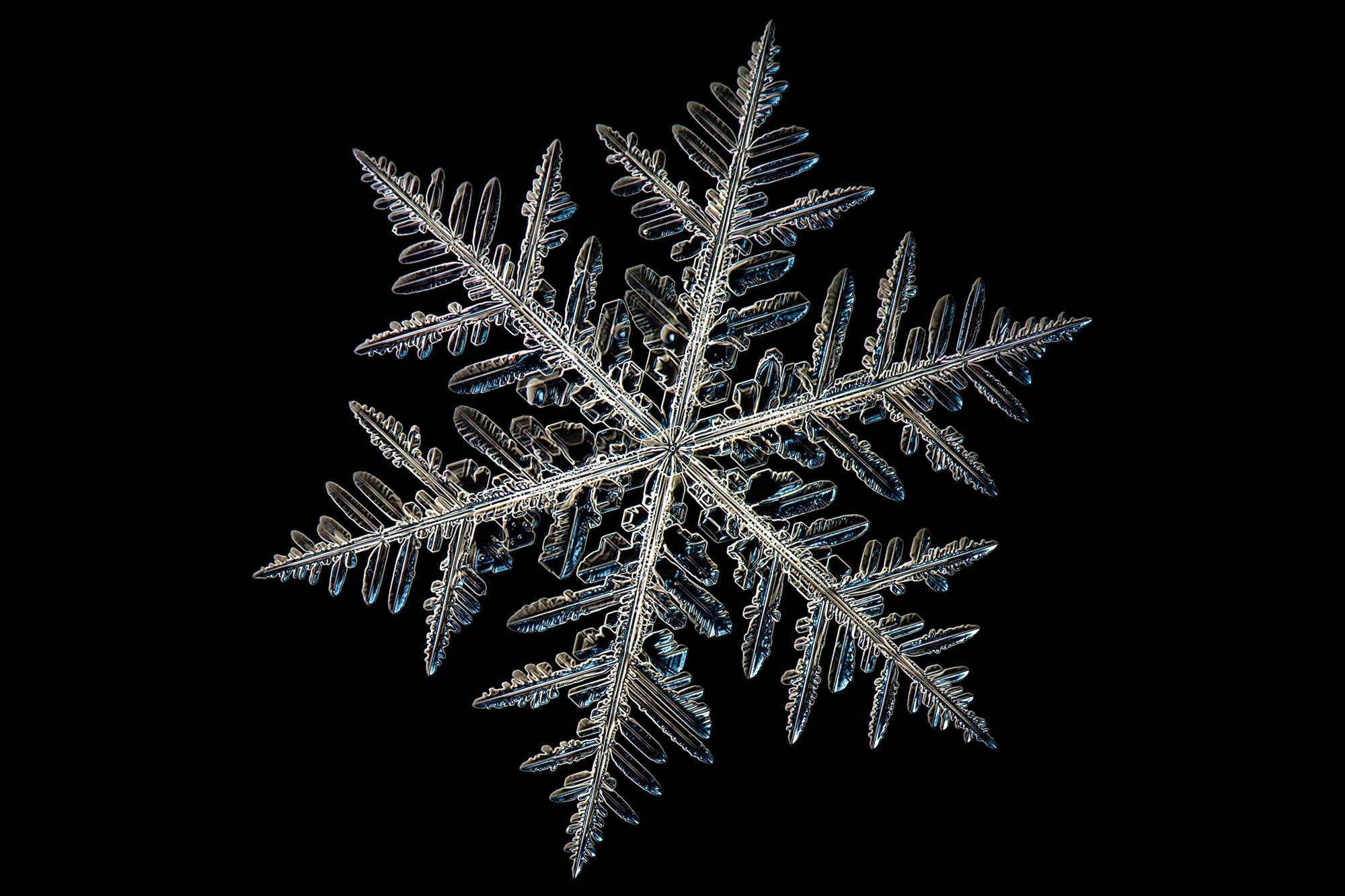 what-makes-a-snowflake-special-news-chemistry-world