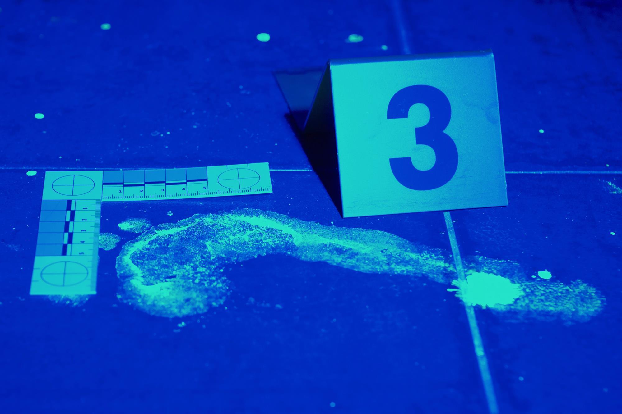 Blood will out Research Chemistry World