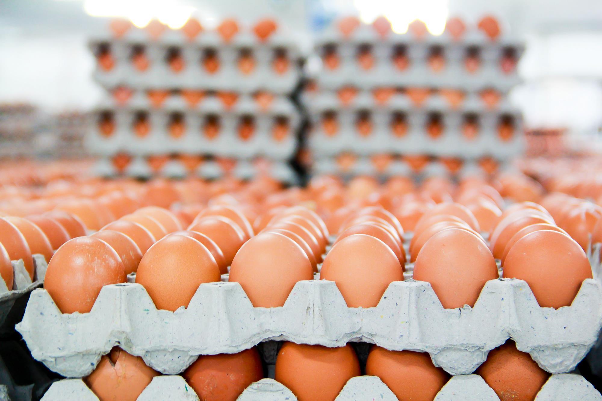 are golden farm fresh eggs recalled