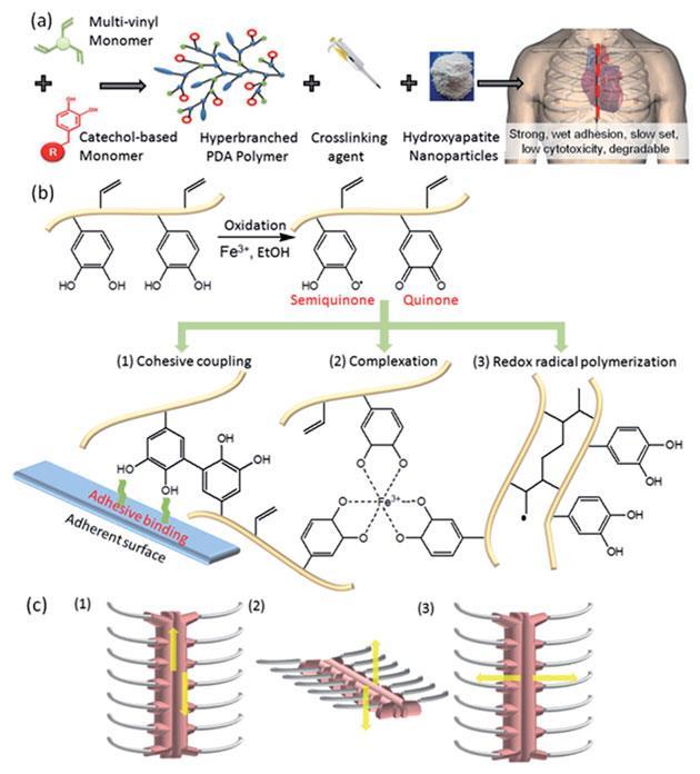 Slowsetting bone glue for easier postsurgery access Research