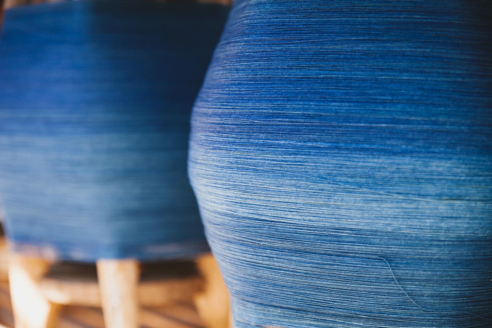 Indigo genes dyeing to make jeans cleaner and greener Research