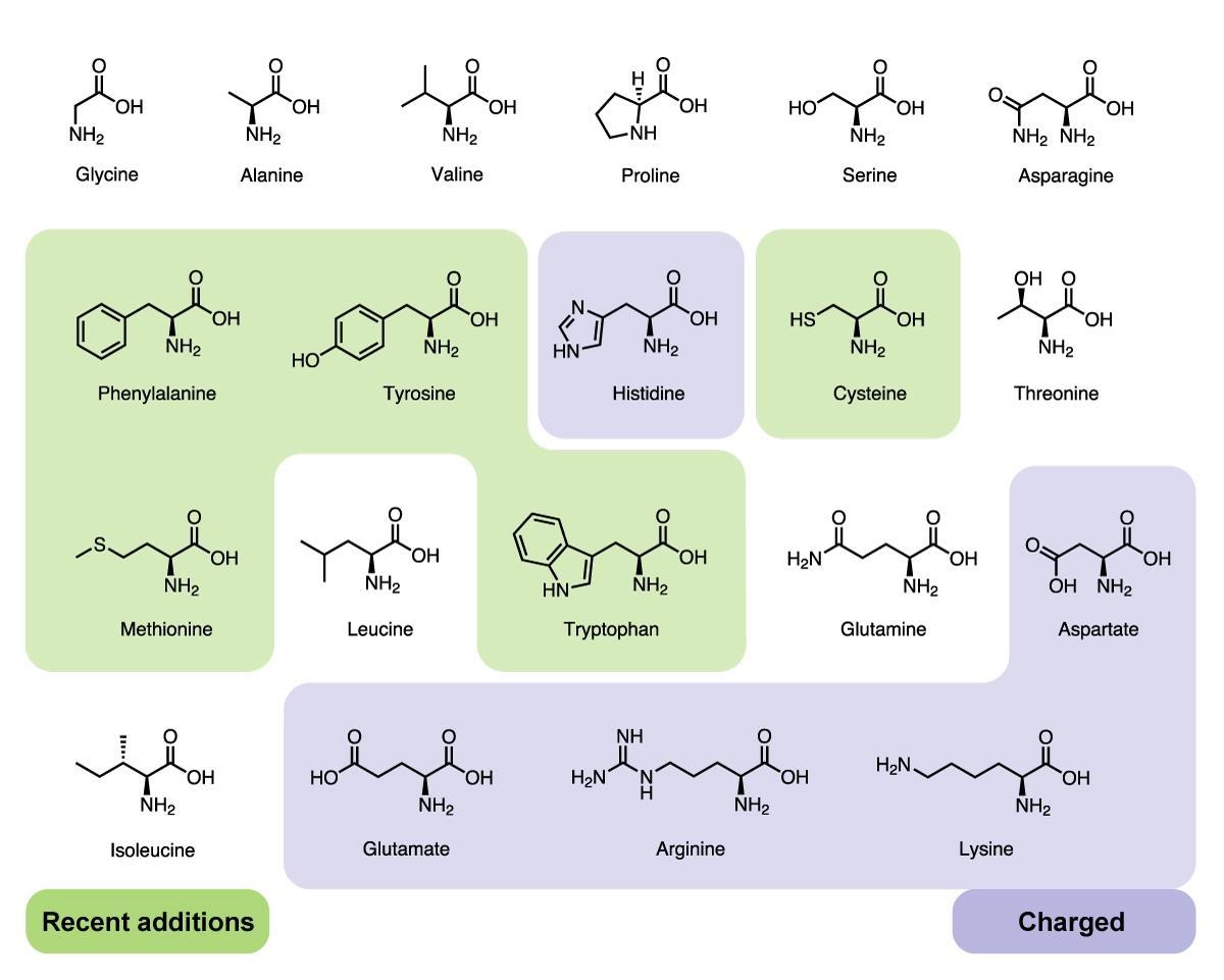 charged amino acids