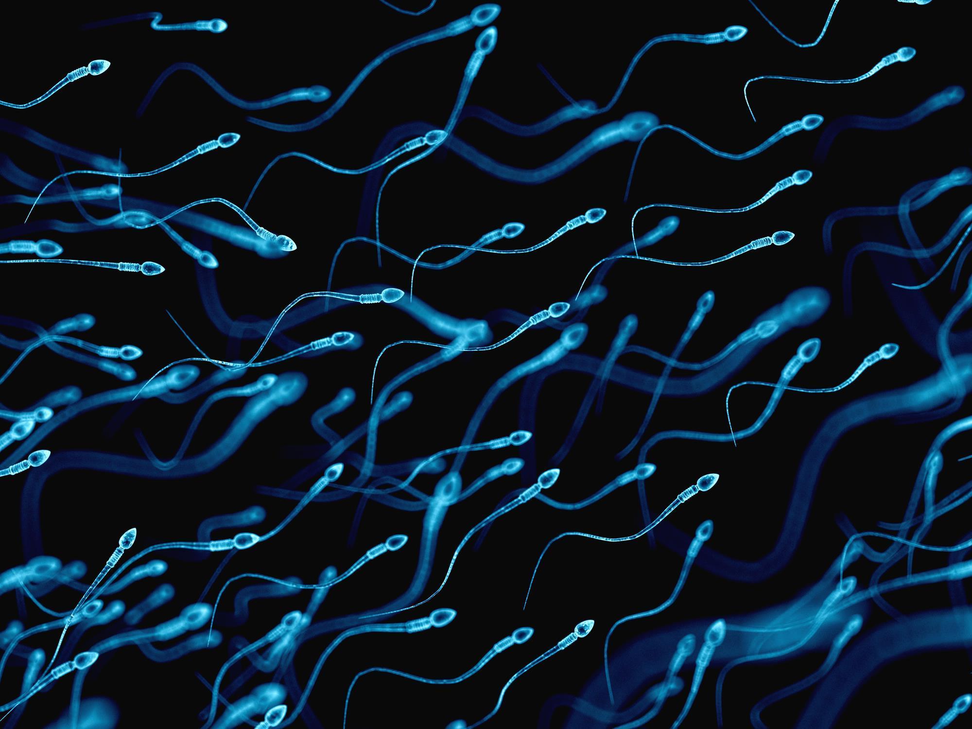 Sex babys heartrate and British naked uncut men