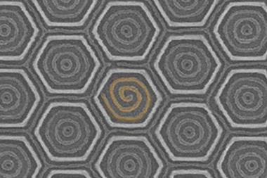 NIB: Nanospirals in self assembly of polymers