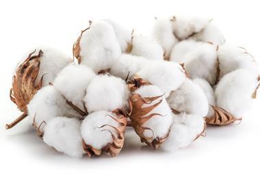 Cotton bolls