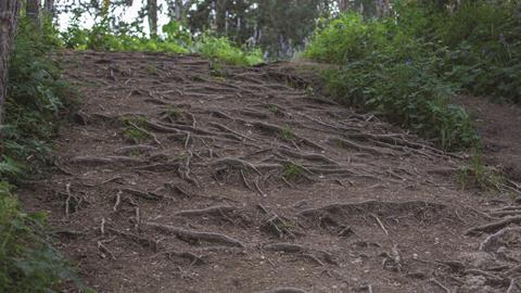 Soil Sponge Soaking Up Far Less Carbon Dioxide Than Expected