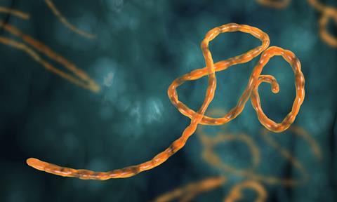 artist's impression of an ebola virus in the body