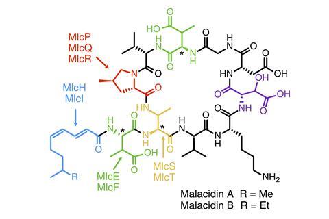 New antibiotics discovered in soil offer hope in the fight against superbugs