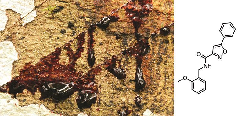Dragon blood tree sap (left) and Crofelemer structure (right)