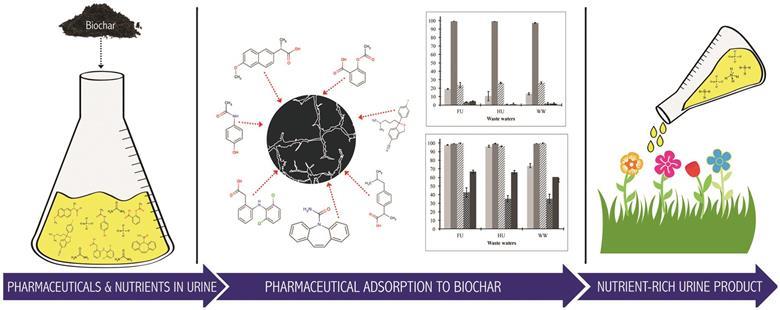 Pharmaceutical removal in synthetic human urine using biochar